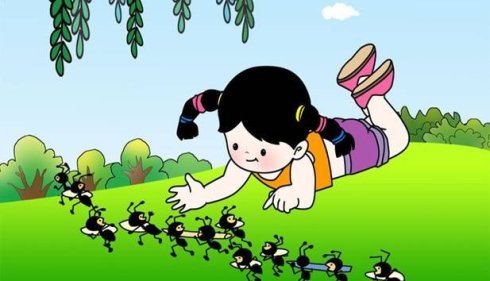 蚂蚁我想告诉你