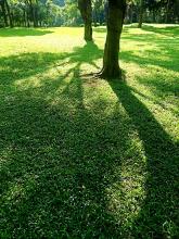 我用眼睛看四个季节