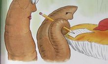 假如我是一条蚯蚓