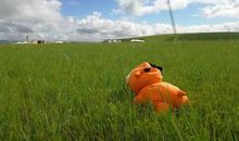 夏天到来，令我回忆