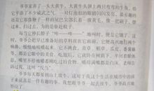 牧童改写成短文400字