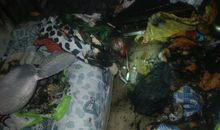 我与风亲密接触