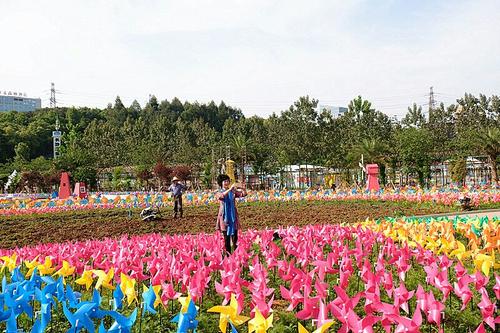 我爱你植物园