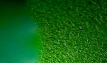 用笑来面对生活