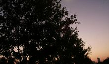 那个清晨，与你重逢