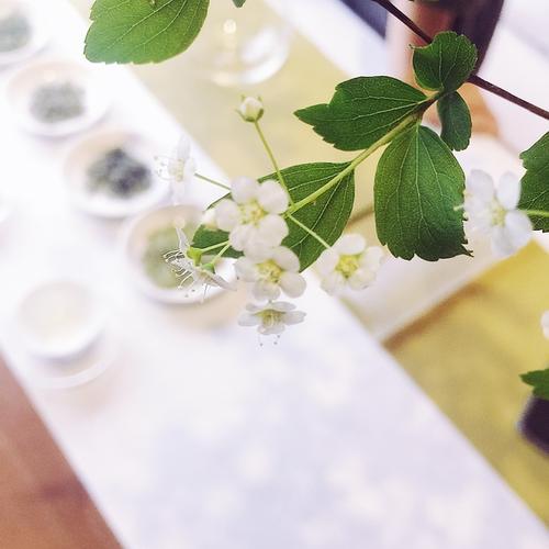 听记忆中的雨