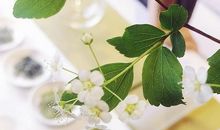 听记忆中的雨声