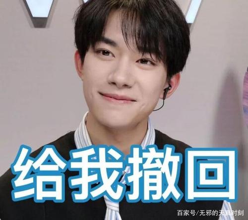我的表情包兄弟