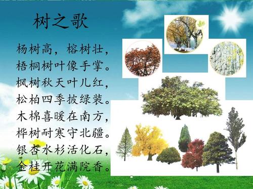 树之歌