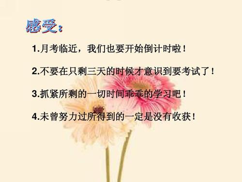 冲刺月度测试
