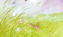 读《小战马》有感