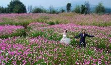 藏在心底的那份暖