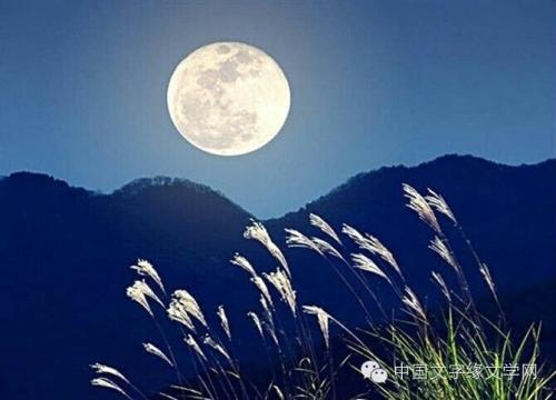 那明亮的月亮