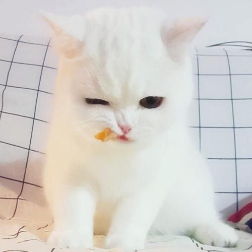最暖和的照片