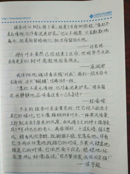 落叶之美