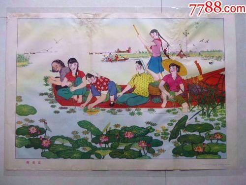 荷花湖夏季游
