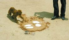 人生路上的脚印