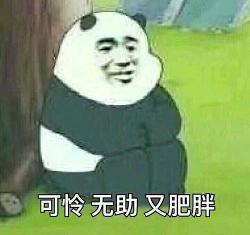 有一天让我发生冲突