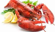 我和大龙虾的小故事