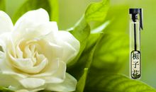 你，如桅子般淡雅