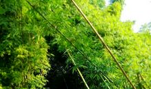 忘不了的那一刻