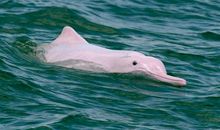 一次奇特的体验