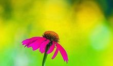 家乡的美好时光