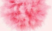 在没有闲暇欢娱的日子里