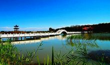 美丽的青格达湖