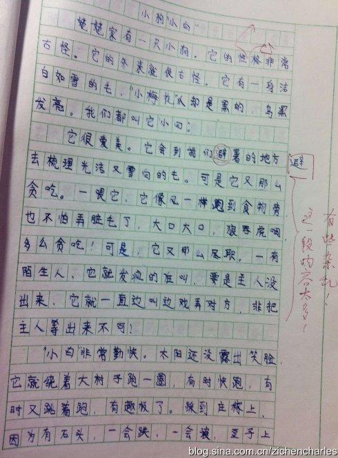 引导性词汇