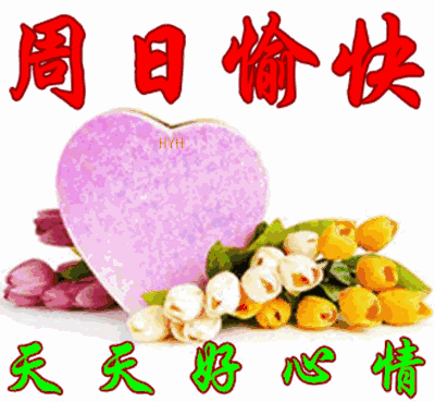 我学会了为破碎的幸福鼓掌