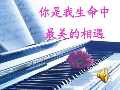 最美丽的encounter