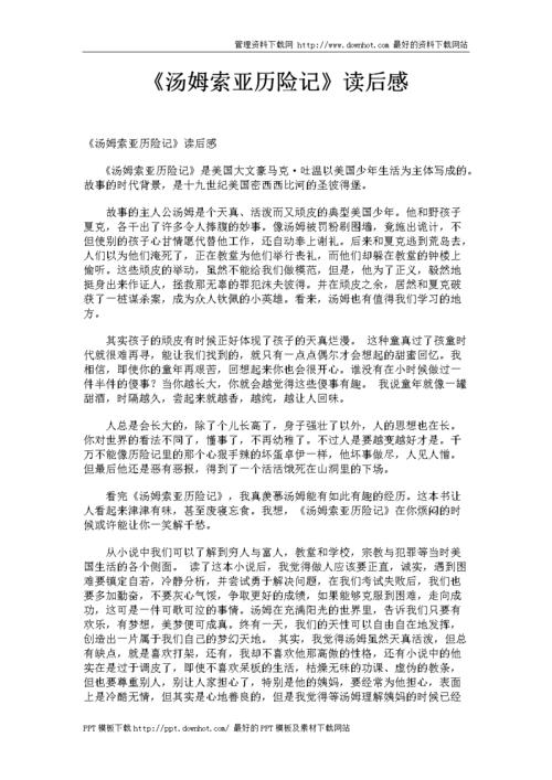 汤姆·索亚历险记