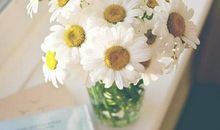 友情如阳光般温暖