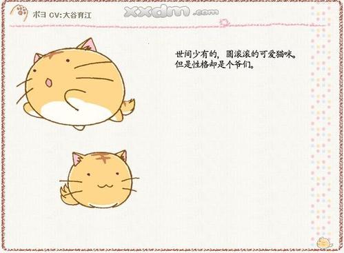 观察小猫的日记