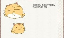 观察小猫的日记