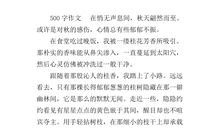 我迷上了什么作文500字