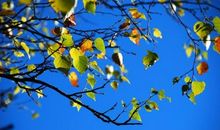 那一抹暖暖的阳光