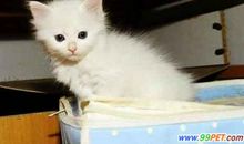 美丽无比观后感