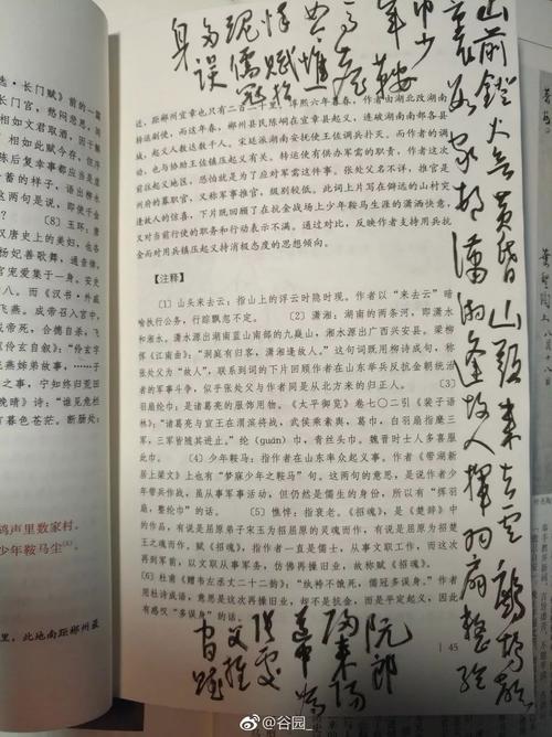 课外书的自我报告