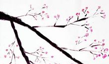 我读懂了梅花的精神