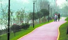 我爱你，滨江绿道