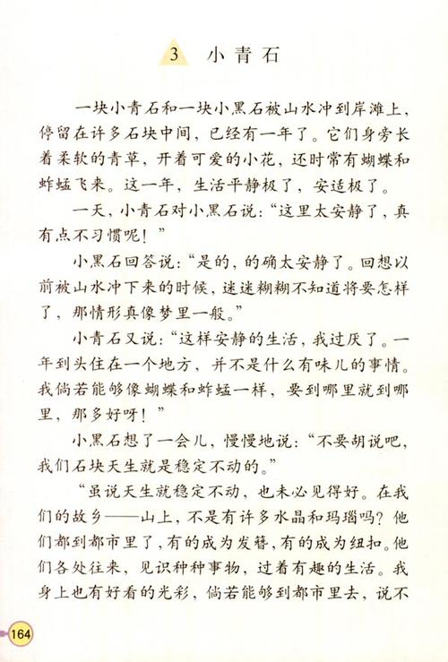蓝宝石和小黑石头