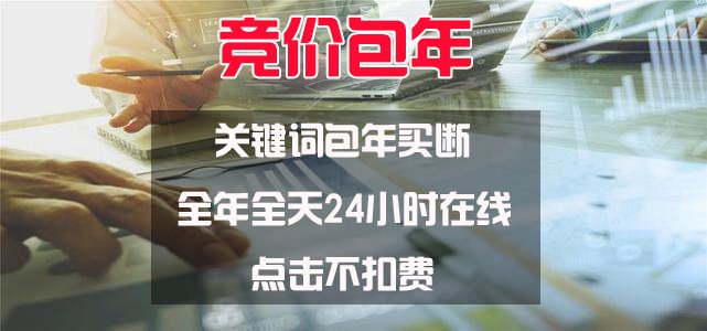 我的年度关键字持久性