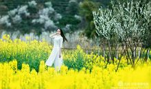 徜徉在你的世界里