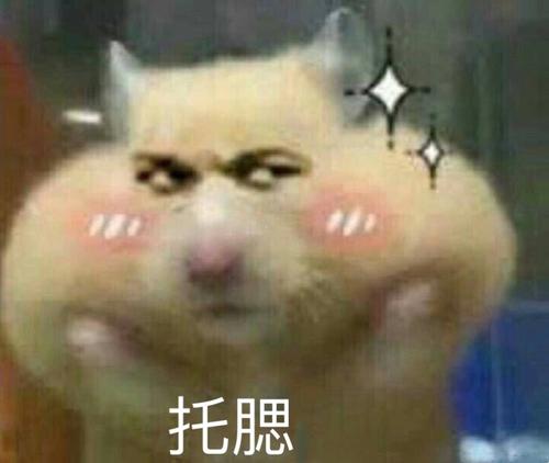 暑假的起伏