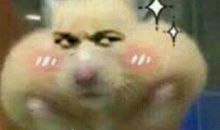 暑假中的酸甜苦辣