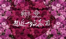 让美育之花开在我们心中