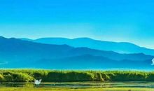 生活因分享而精彩