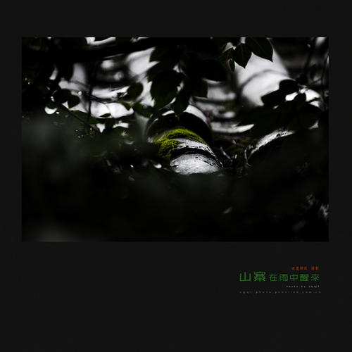 在雨中醒来